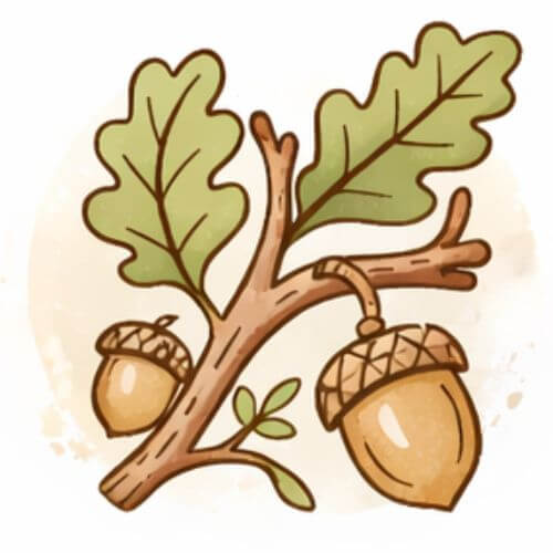 Natürliches veganes Material – Kork aus nachhaltiger Gewinnung